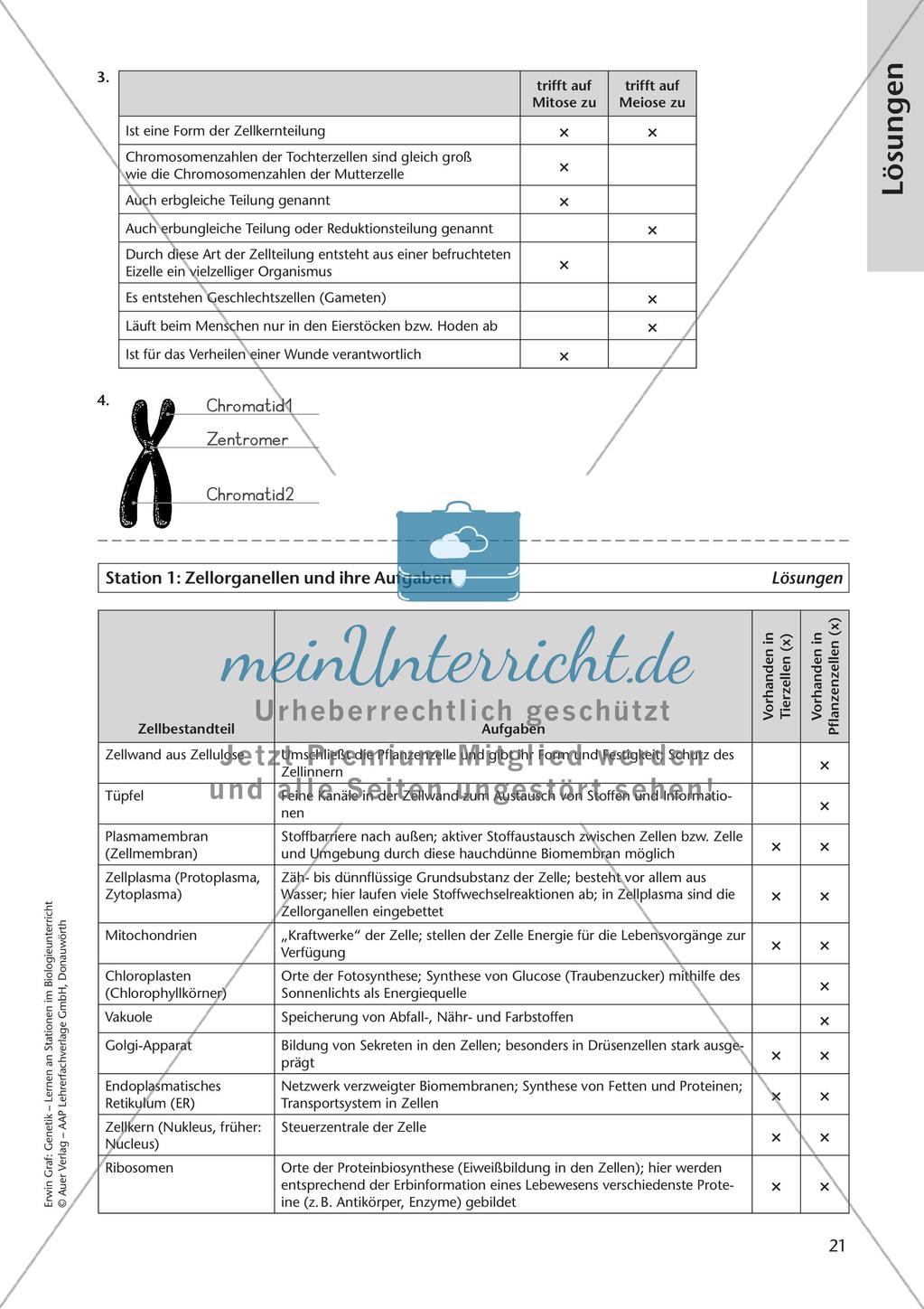 Genetik an Stationen: Grundlagen der Genetik Preview 23