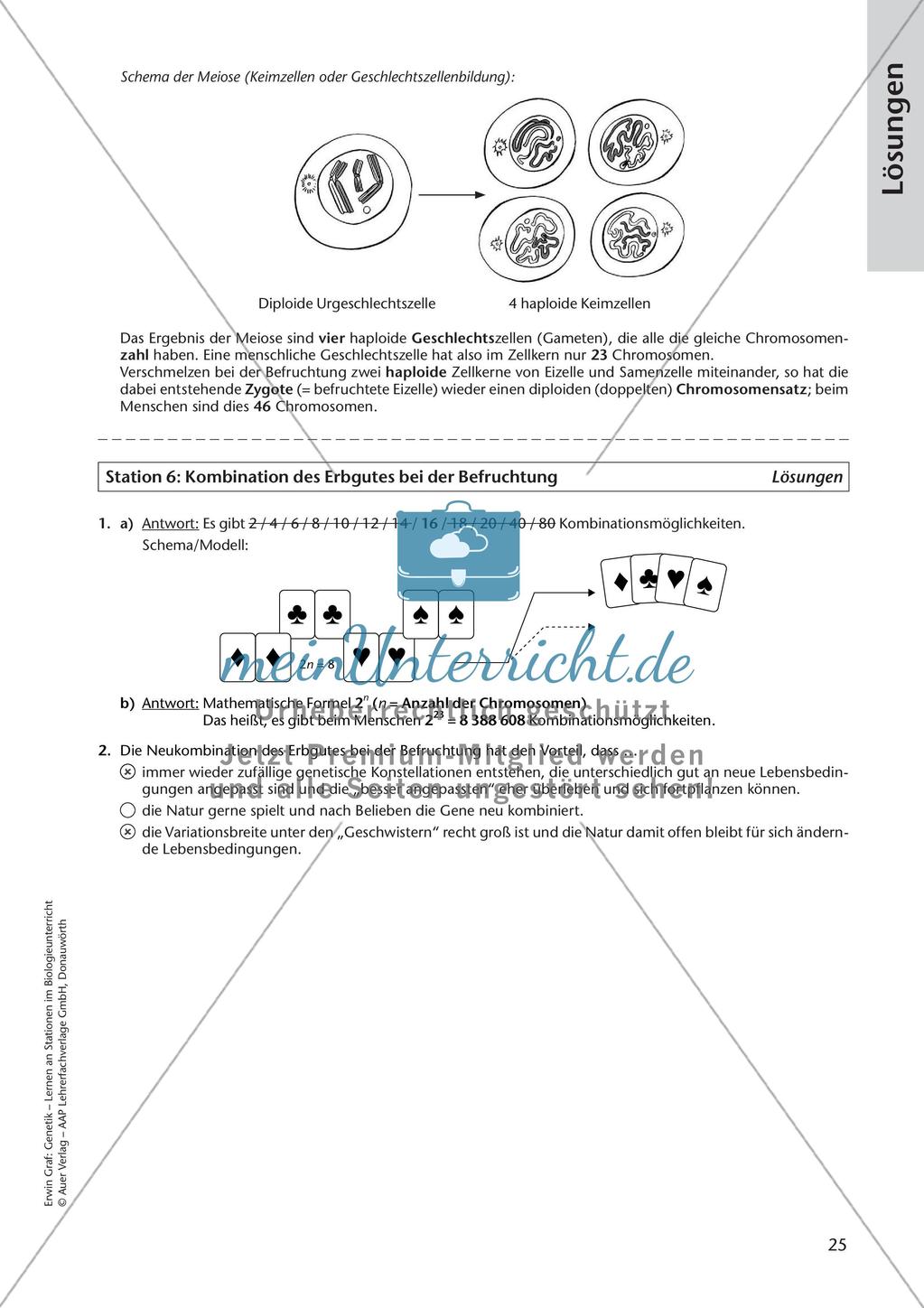 Genetik an Stationen: Grundlagen der Genetik Preview 27