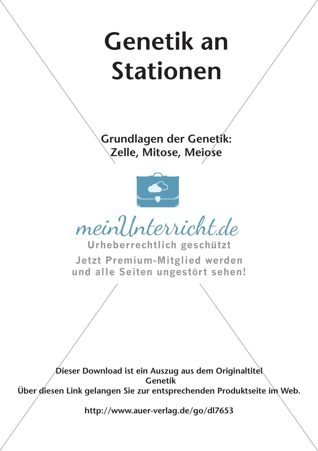 Genetik an Stationen: Grundlagen der Genetik Preview 2