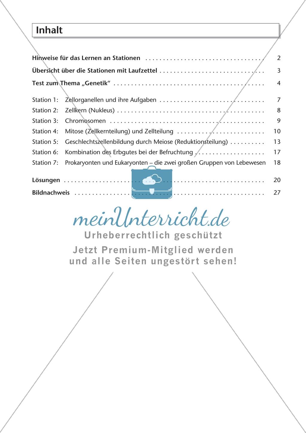 Genetik an Stationen: Grundlagen der Genetik Preview 3