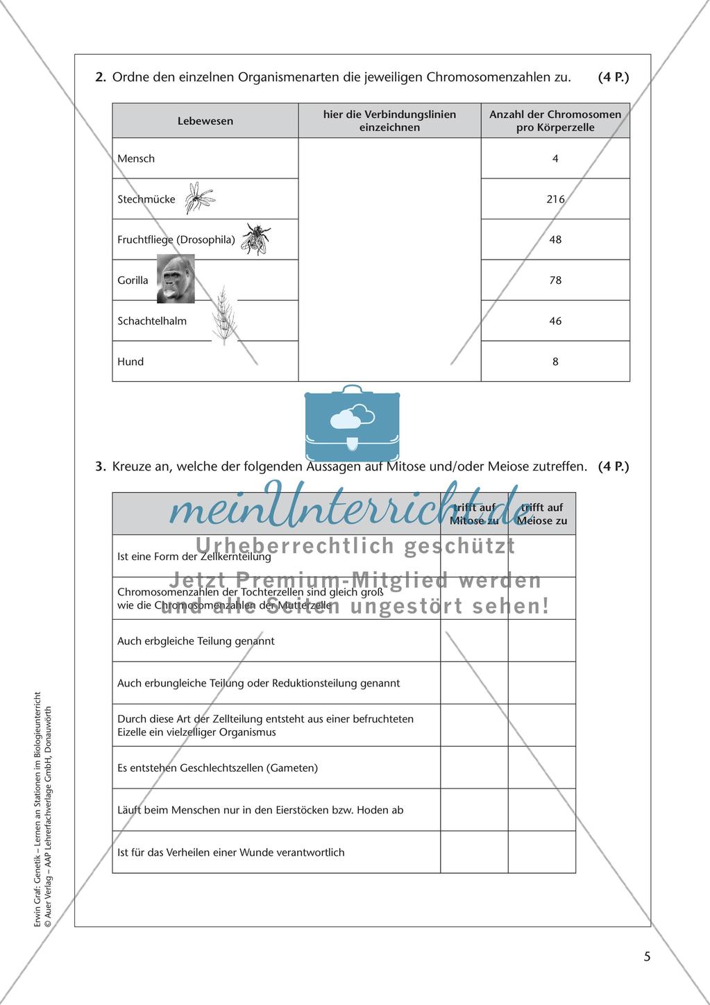 Genetik an Stationen: Grundlagen der Genetik Preview 7