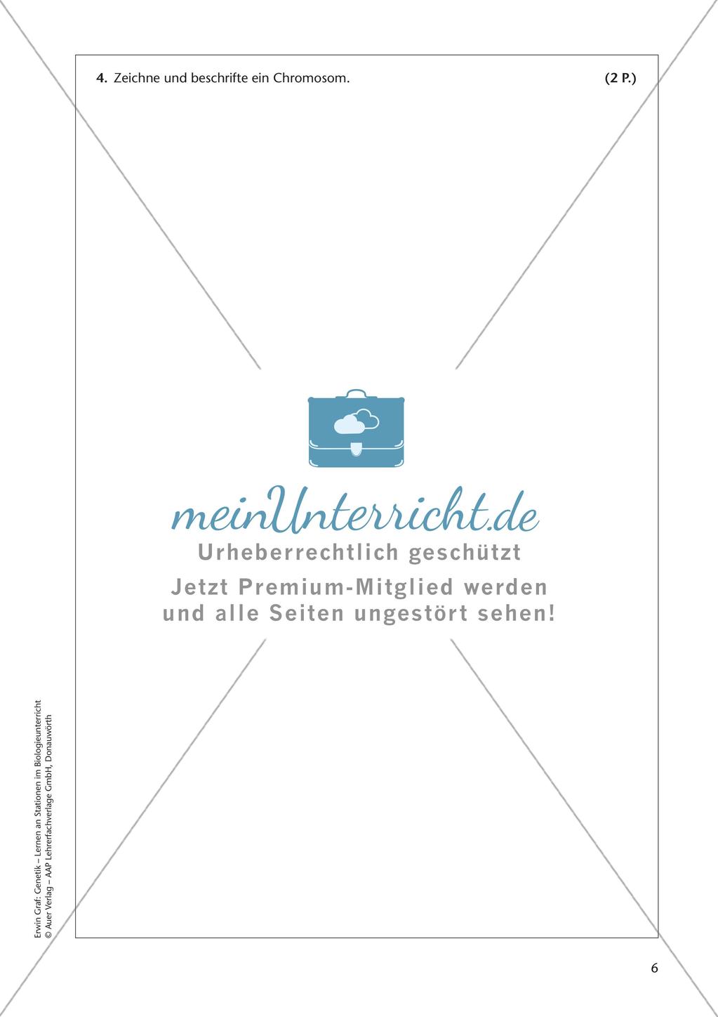 Genetik an Stationen: Grundlagen der Genetik Preview 8