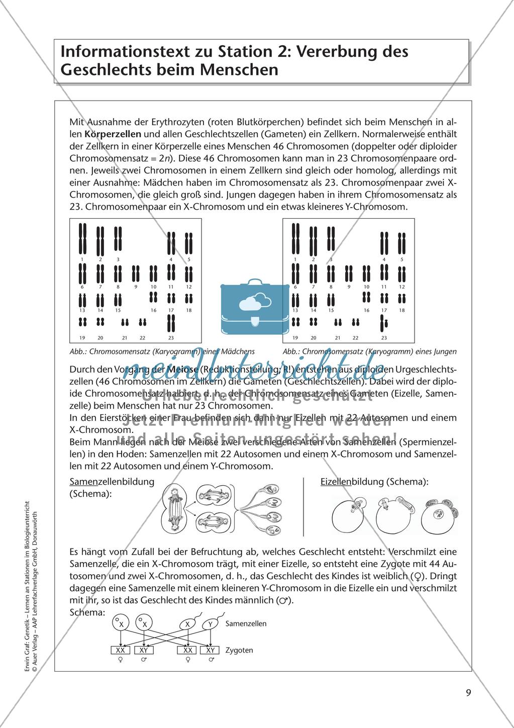 Genetik an Stationen: Vererbung von Merkmalen Preview 11