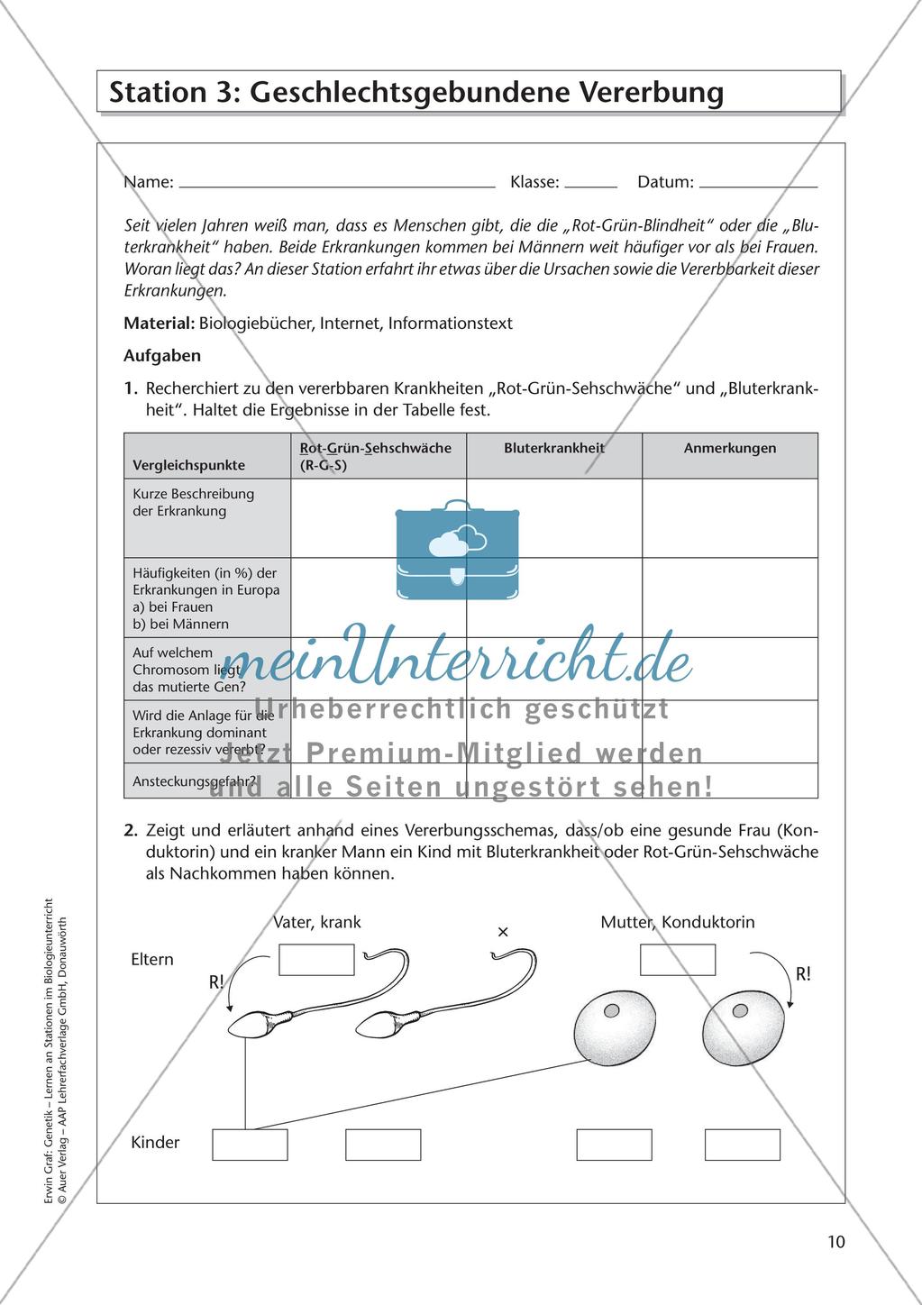 Genetik an Stationen: Vererbung von Merkmalen Preview 12