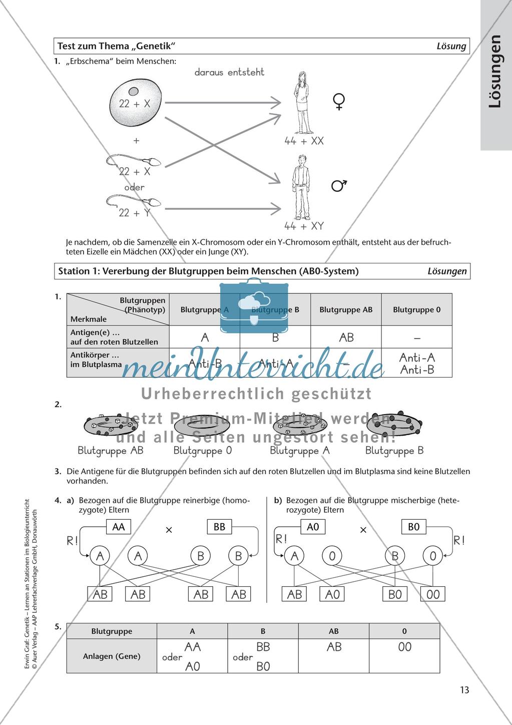 Genetik an Stationen: Vererbung von Merkmalen Preview 15