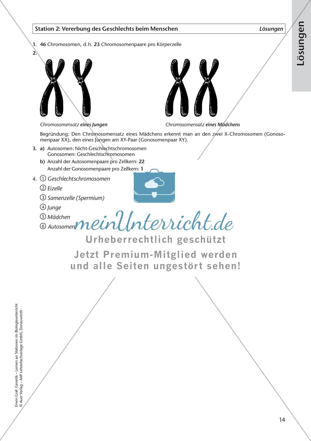 Genetik an Stationen: Vererbung von Merkmalen Preview 16