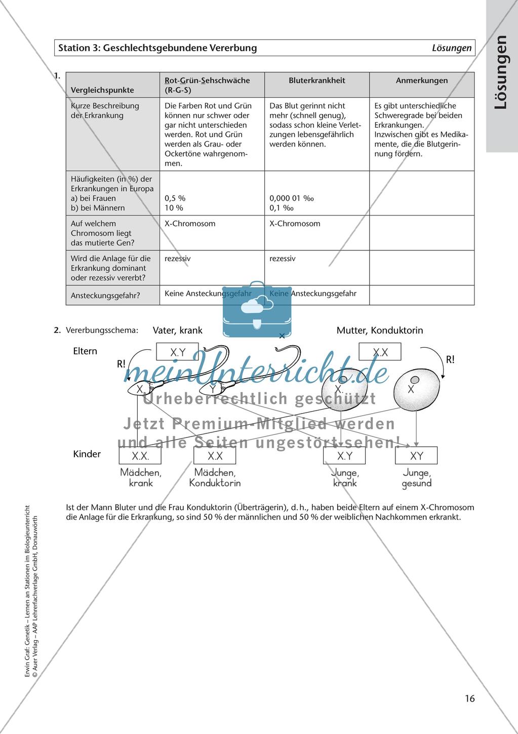 Genetik an Stationen: Vererbung von Merkmalen Preview 18