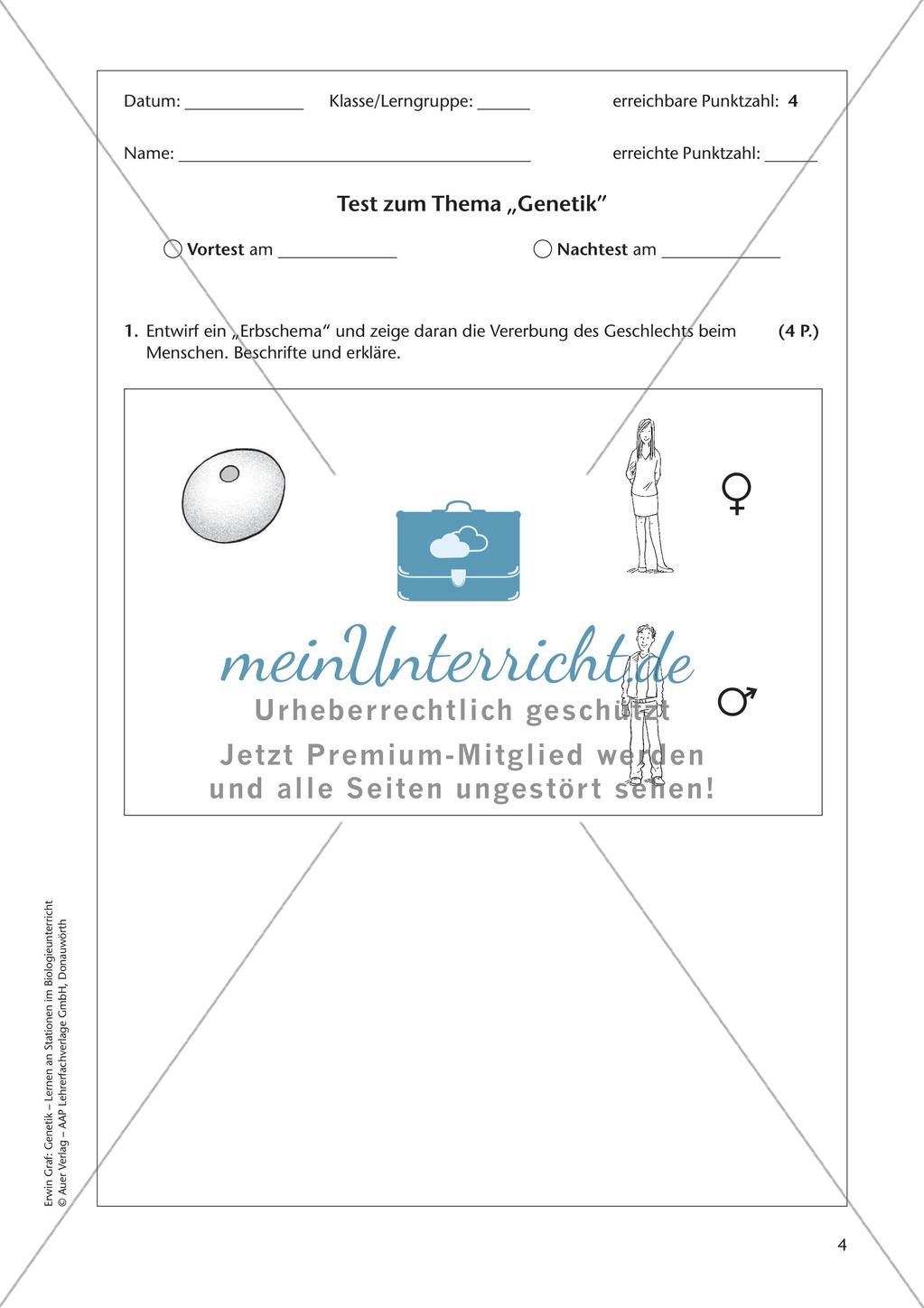 Genetik an Stationen: Vererbung von Merkmalen Preview 6