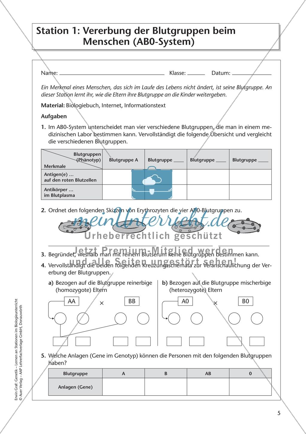 Genetik an Stationen: Vererbung von Merkmalen Preview 7