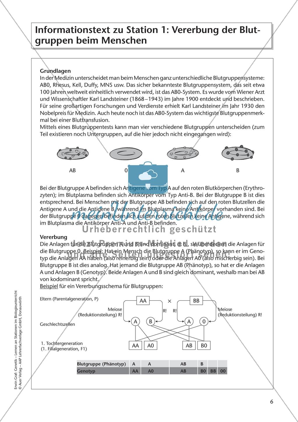 Genetik an Stationen: Vererbung von Merkmalen Preview 8