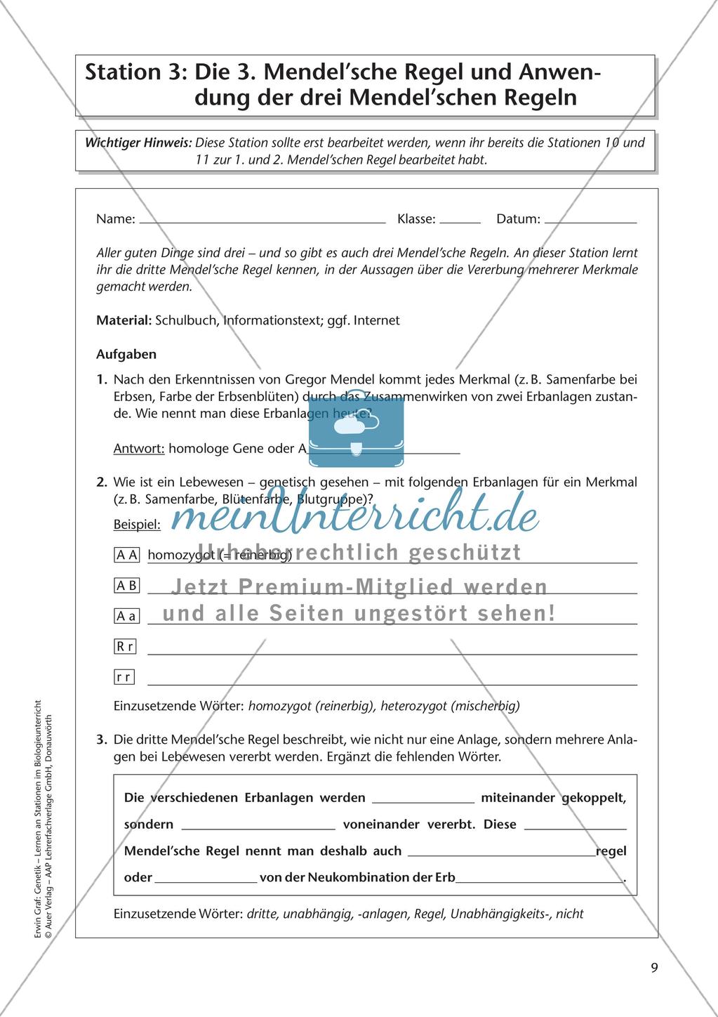 Genetik an Stationen: Regeln und Mechanismen Preview 11