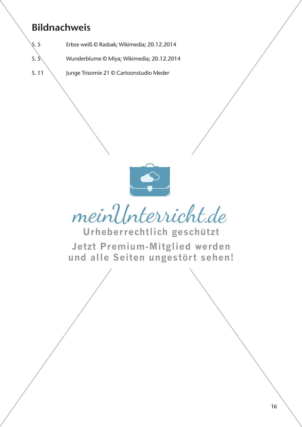 Genetik an Stationen: Regeln und Mechanismen Preview 18