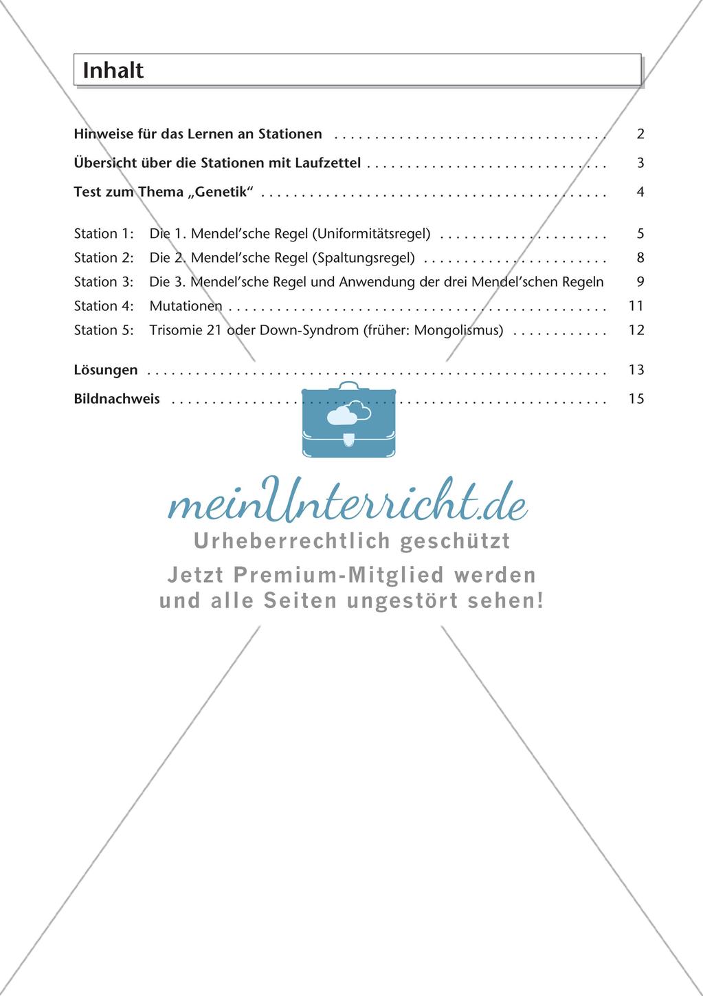 Genetik an Stationen: Regeln und Mechanismen Preview 3