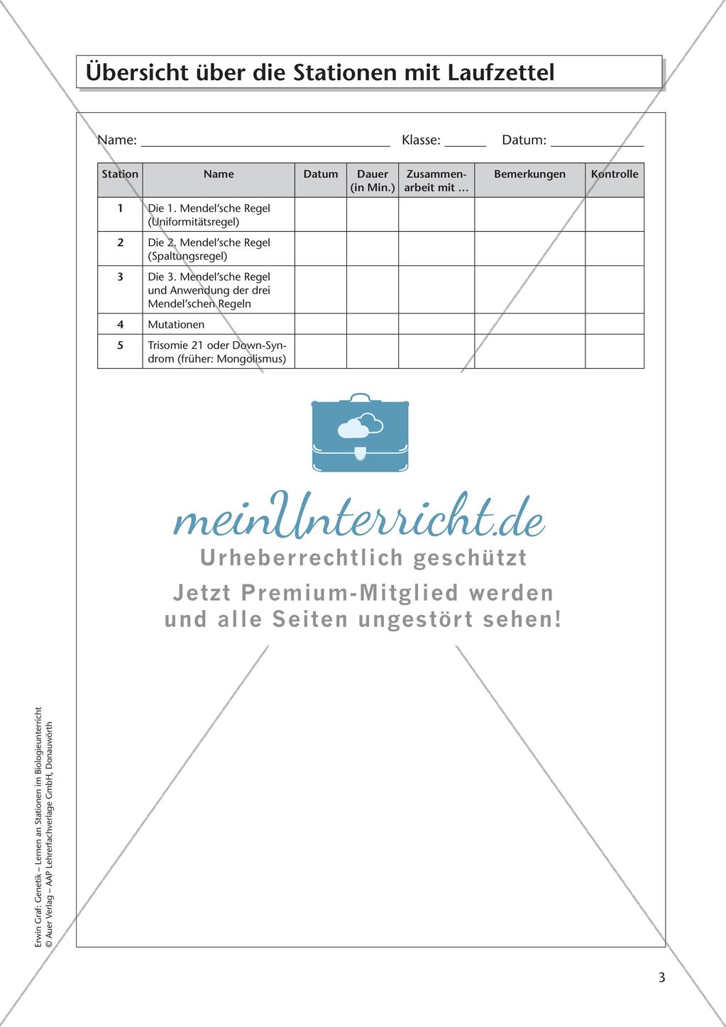 Genetik an Stationen: Regeln und Mechanismen Preview 5