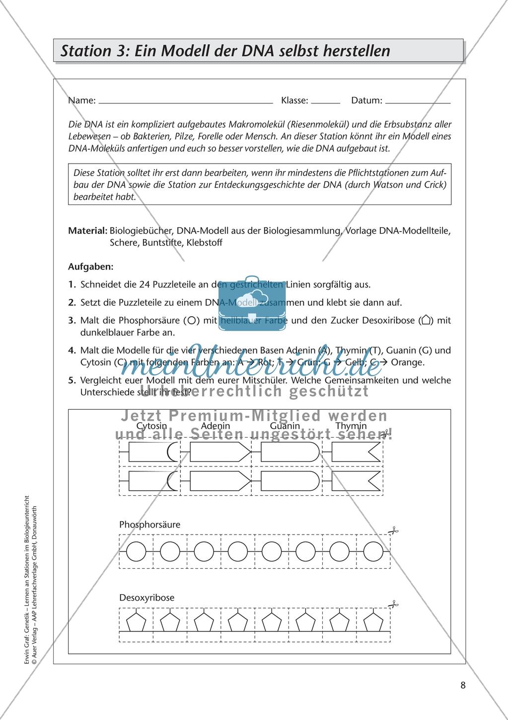 Genetik an Stationen: DNA Preview 10