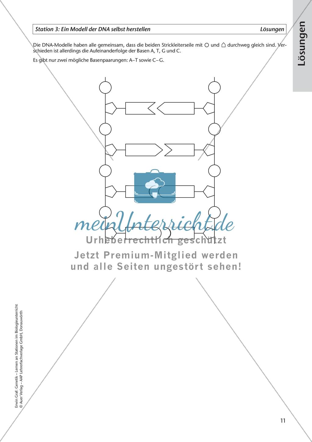 Genetik an Stationen: DNA Preview 13