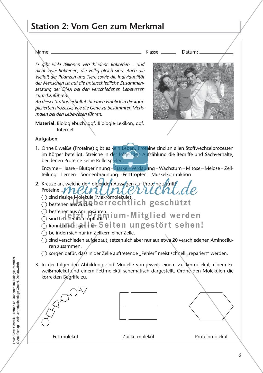 Genetik an Stationen: DNA Preview 8