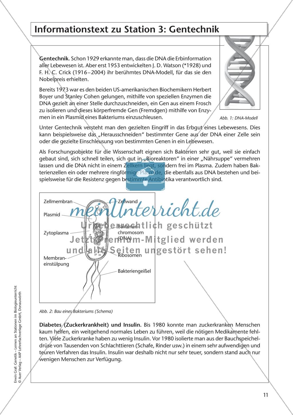 Genetik an Stationen: Gentechnik Preview 13