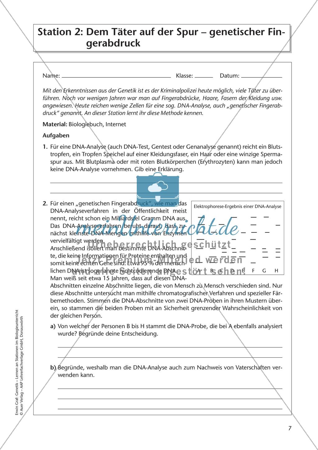 Genetik an Stationen: Gentechnik Preview 9