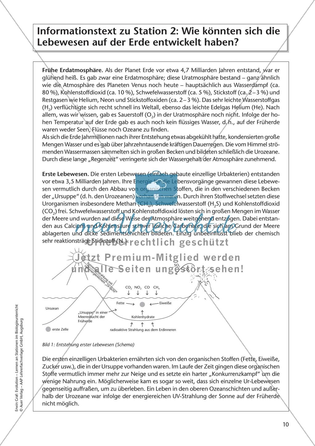 Evolution an Stationen - Die Frühzeit der Erde und Fossilien Preview 12