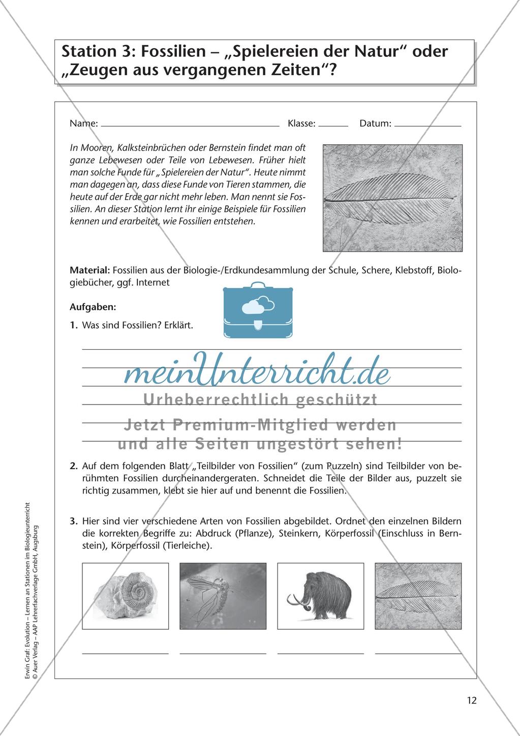 Evolution an Stationen - Die Frühzeit der Erde und Fossilien Preview 14