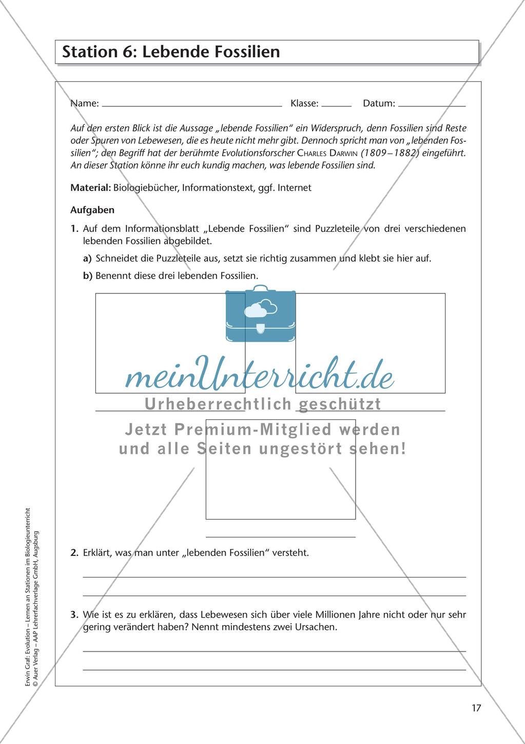 Evolution an Stationen - Die Frühzeit der Erde und Fossilien Preview 19
