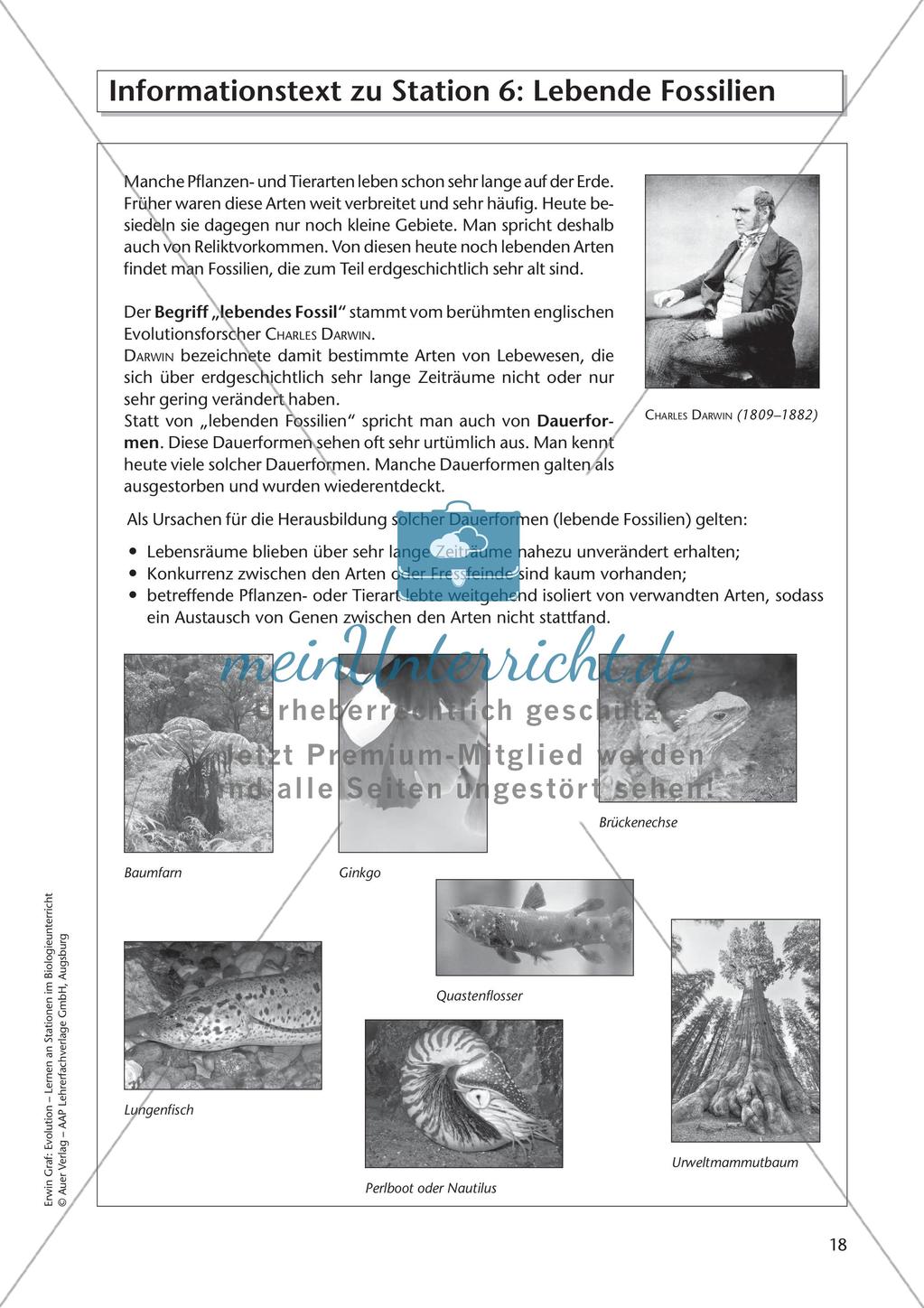 Evolution an Stationen - Die Frühzeit der Erde und Fossilien Preview 20