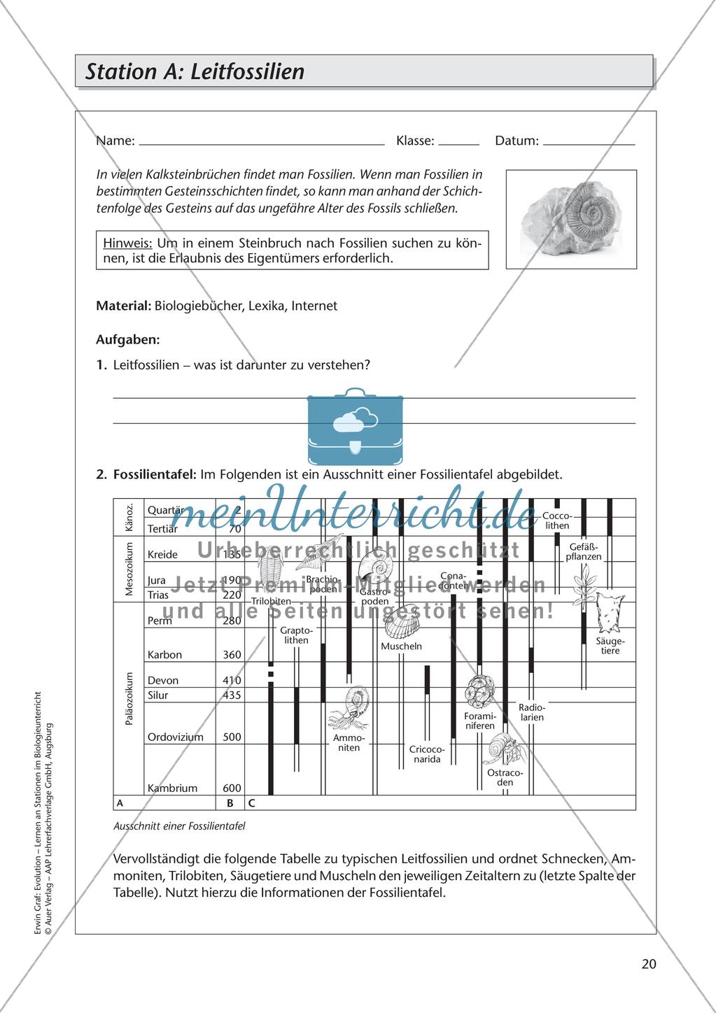 Evolution an Stationen - Die Frühzeit der Erde und Fossilien Preview 22