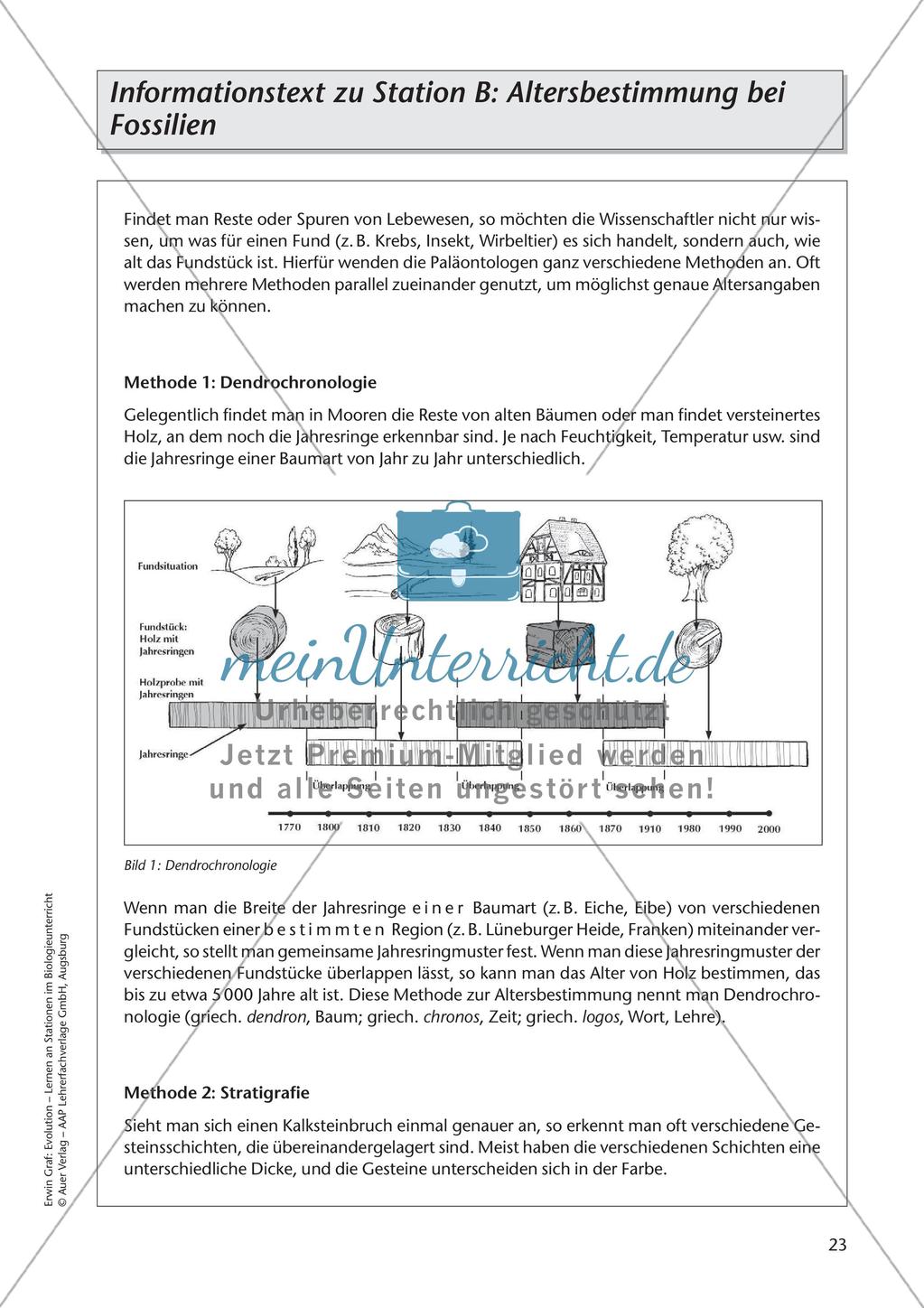 Evolution an Stationen - Die Frühzeit der Erde und Fossilien Preview 25
