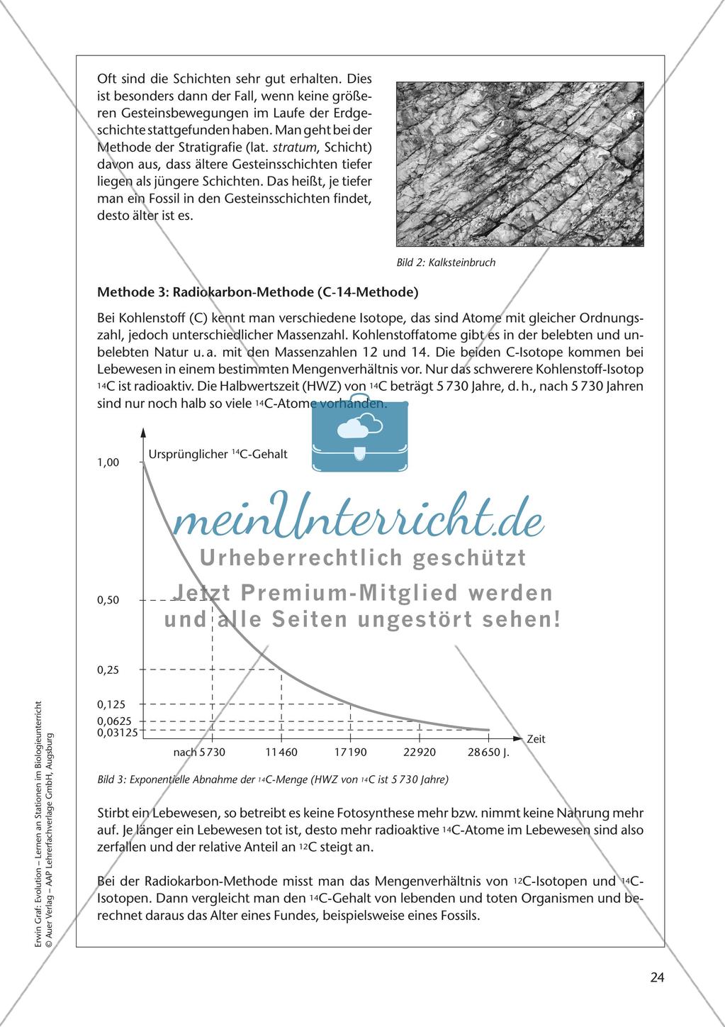Evolution an Stationen - Die Frühzeit der Erde und Fossilien Preview 26