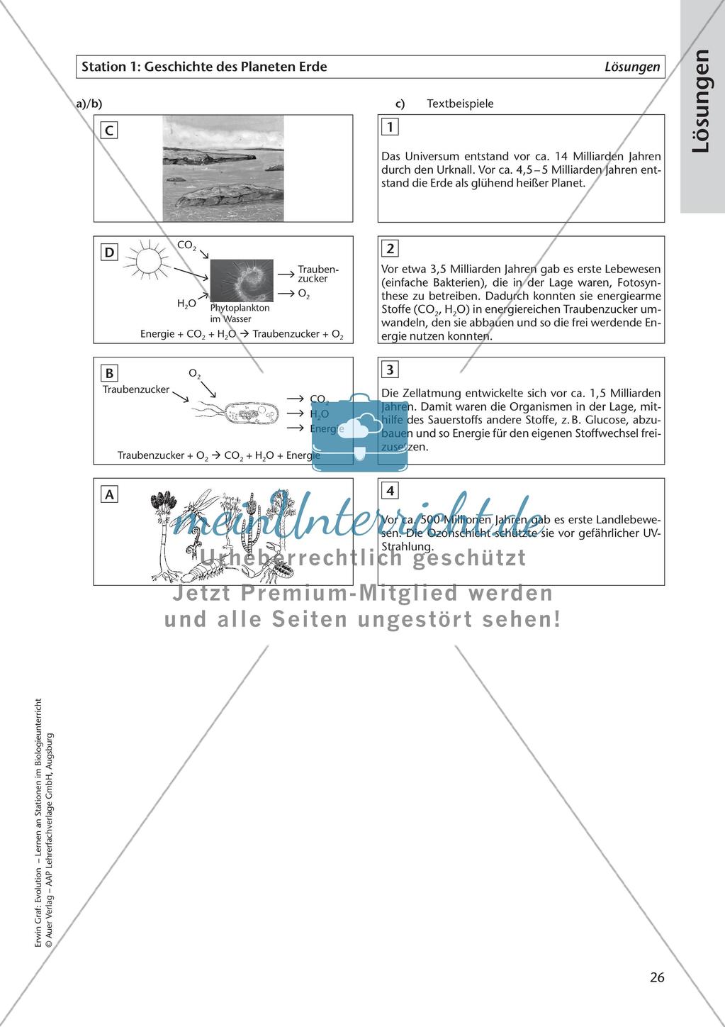 Evolution an Stationen - Die Frühzeit der Erde und Fossilien Preview 28