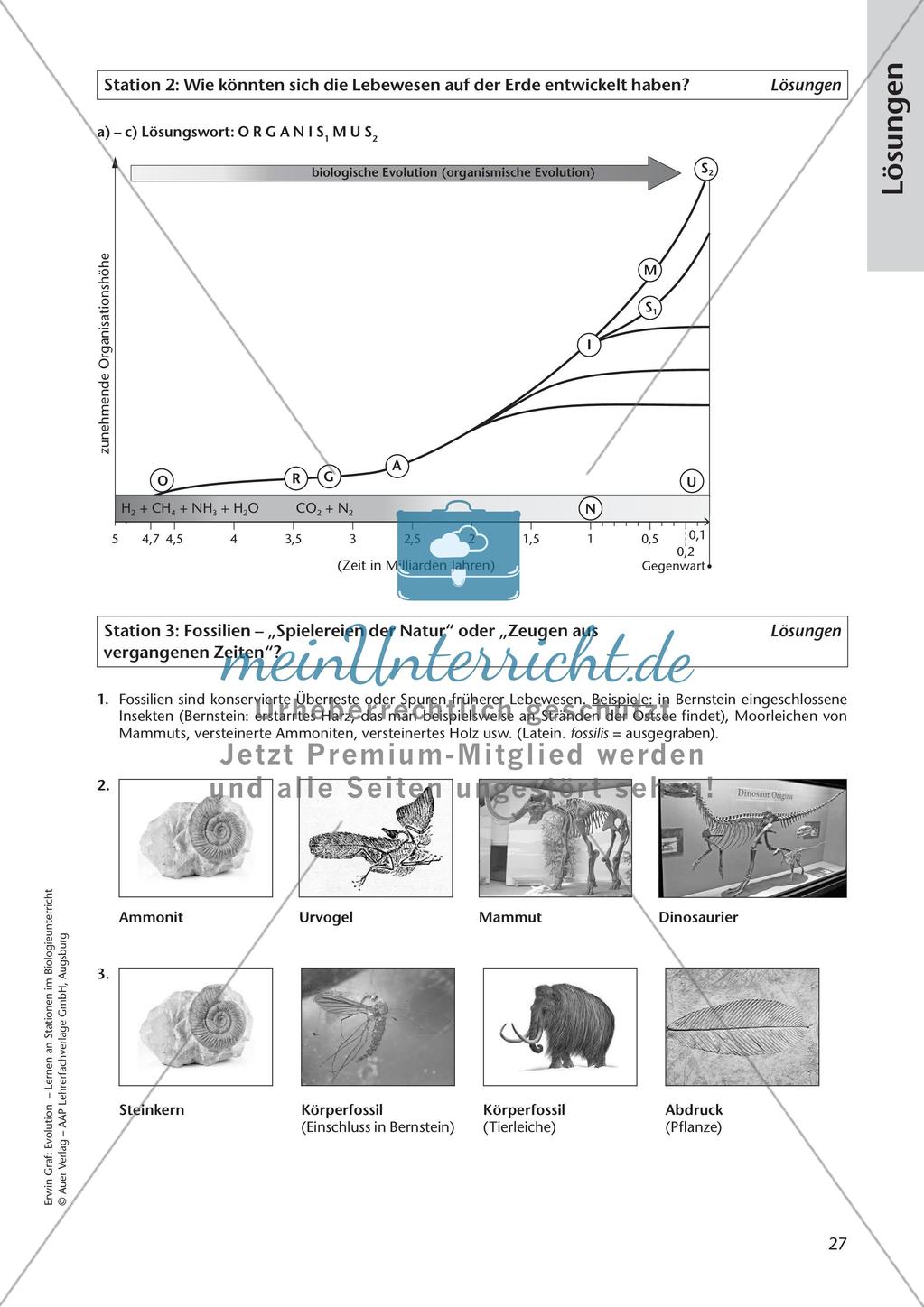 Evolution an Stationen - Die Frühzeit der Erde und Fossilien Preview 29