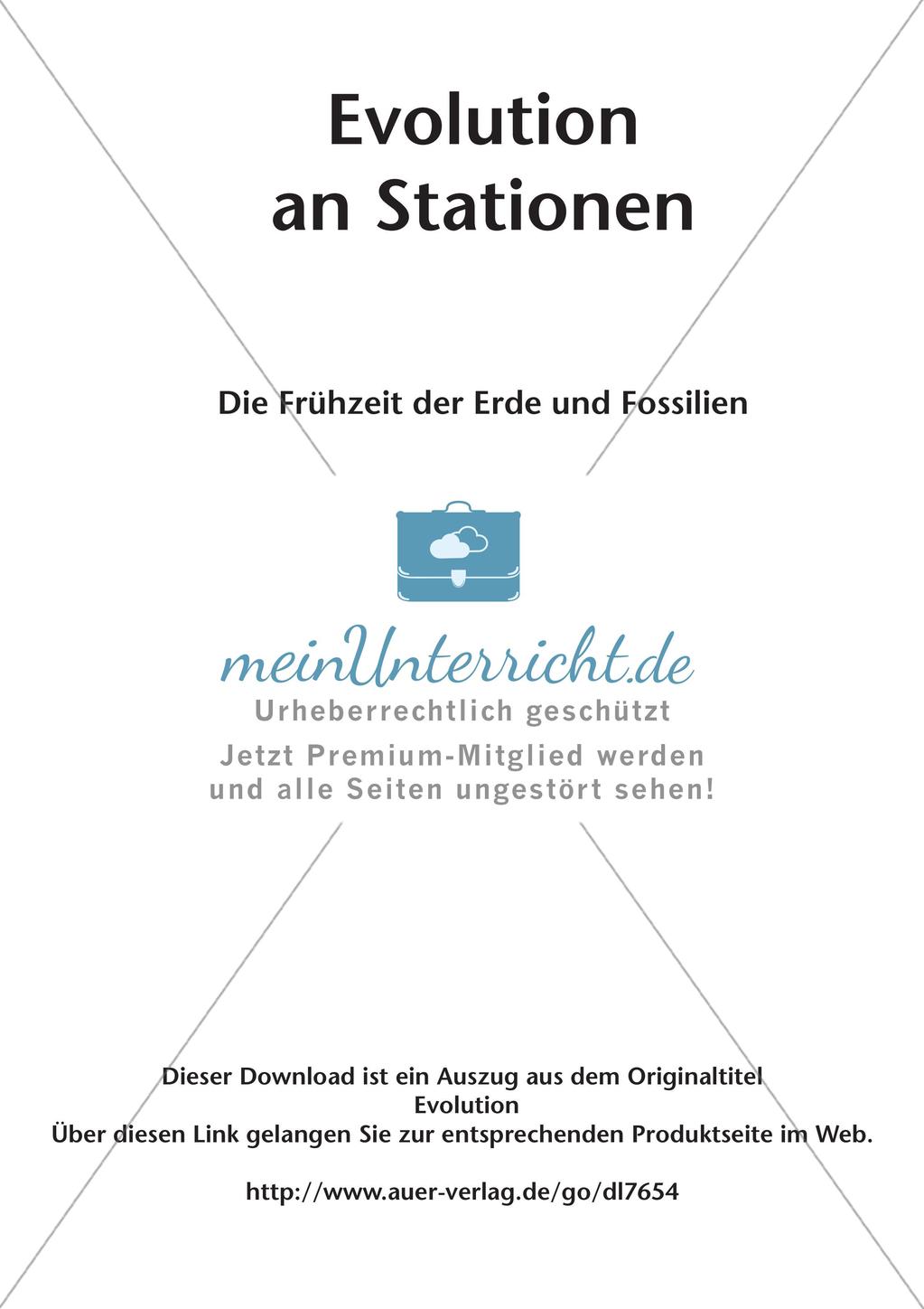Evolution an Stationen - Die Frühzeit der Erde und Fossilien Preview 2