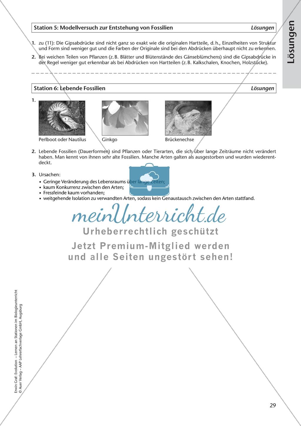 Evolution an Stationen - Die Frühzeit der Erde und Fossilien Preview 31