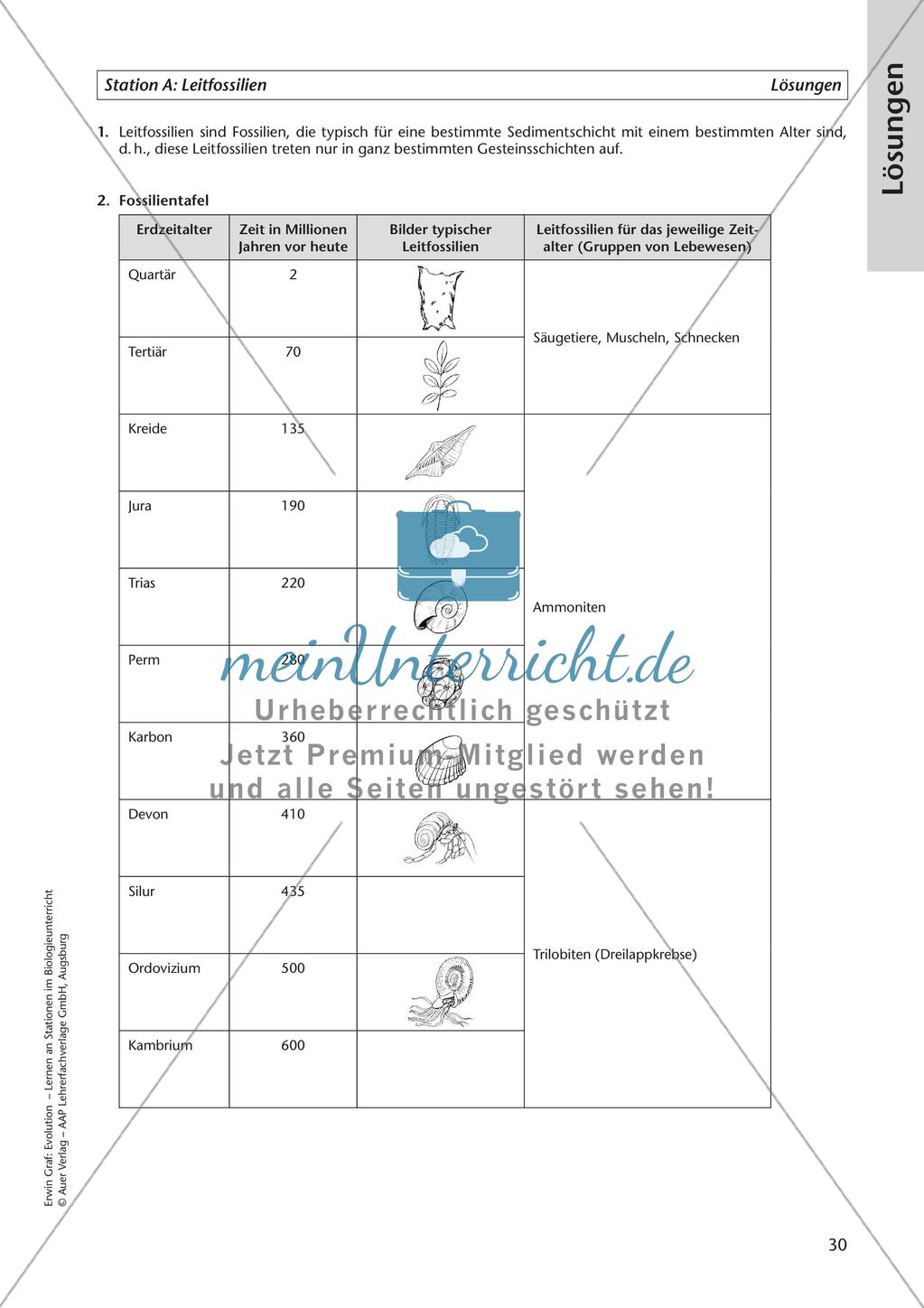 Evolution an Stationen - Die Frühzeit der Erde und Fossilien Preview 32