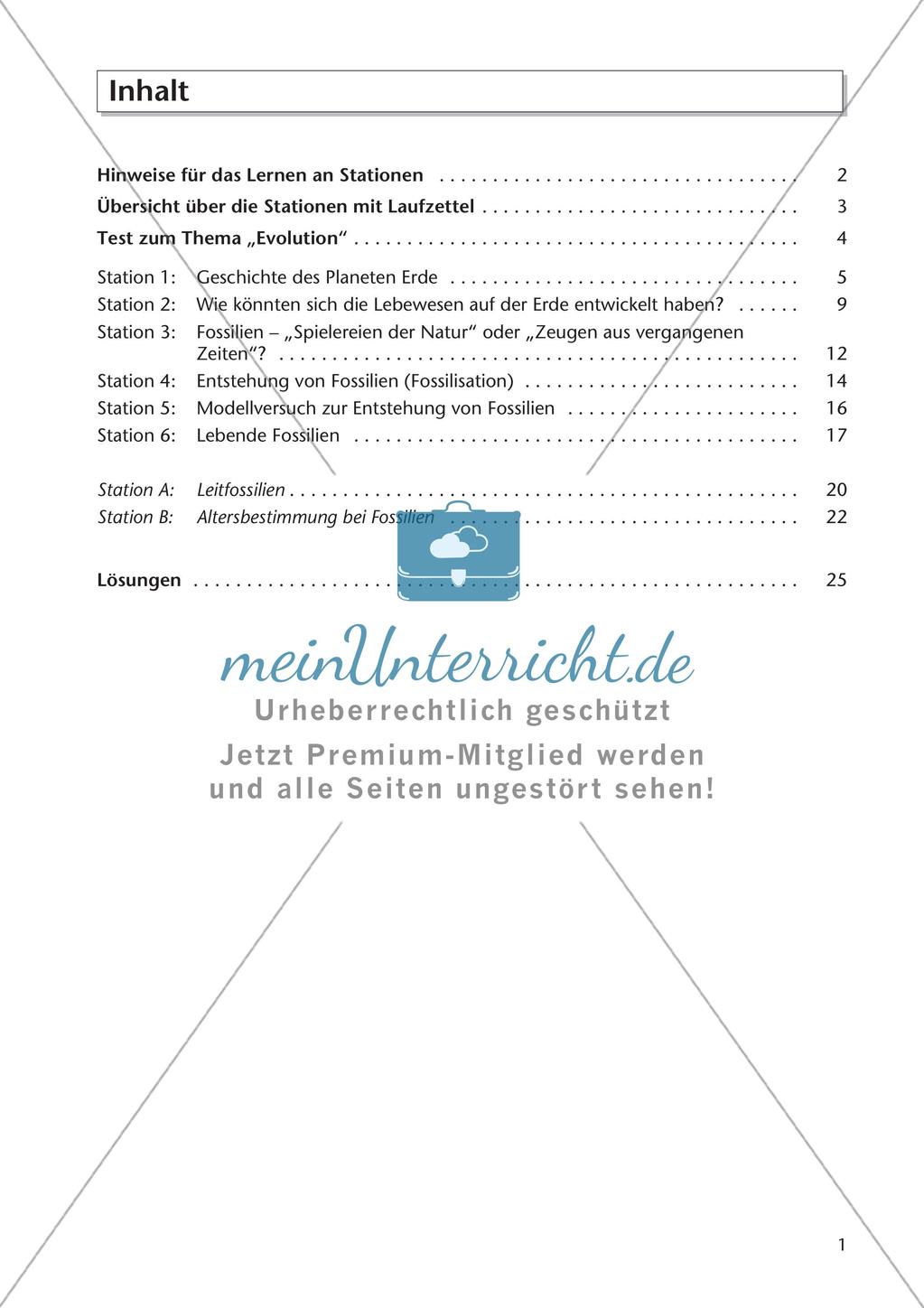 Evolution an Stationen - Die Frühzeit der Erde und Fossilien Preview 3