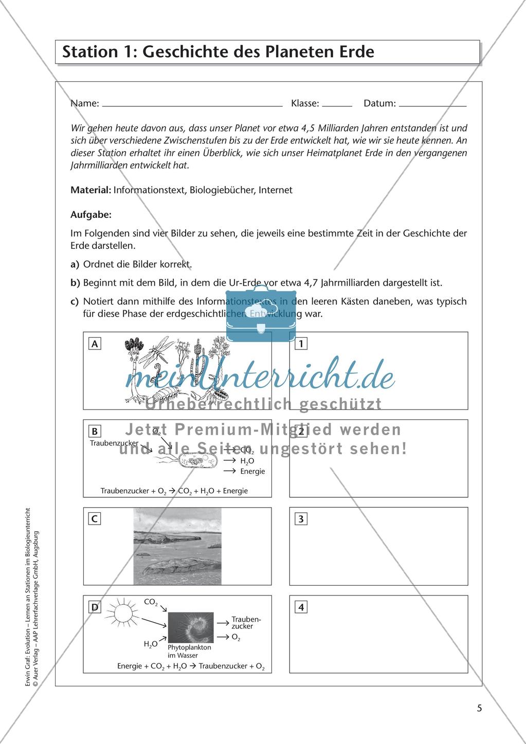 Evolution an Stationen - Die Frühzeit der Erde und Fossilien Preview 7