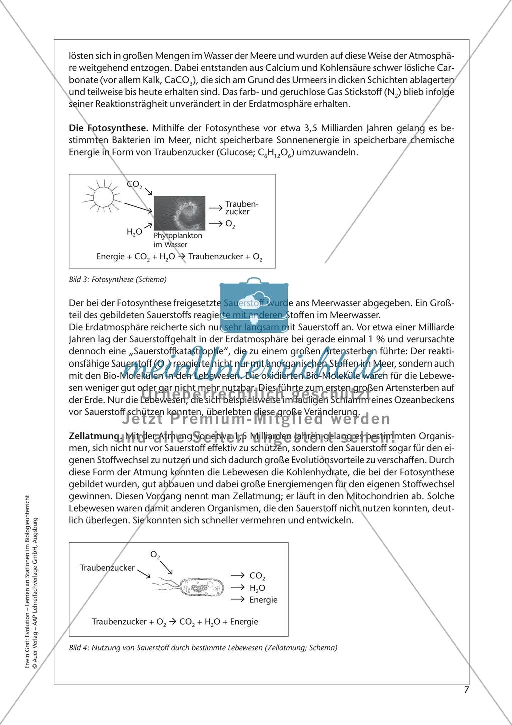 Evolution an Stationen - Die Frühzeit der Erde und Fossilien Preview 9