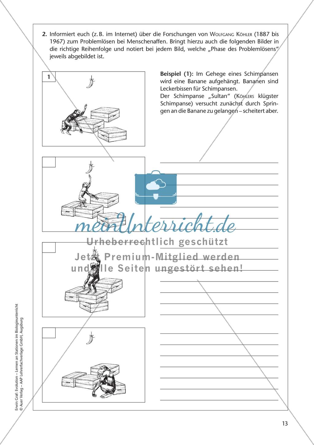 Evolution an Stationen - Ähnlichkeiten und Verwandtschaften Preview 15