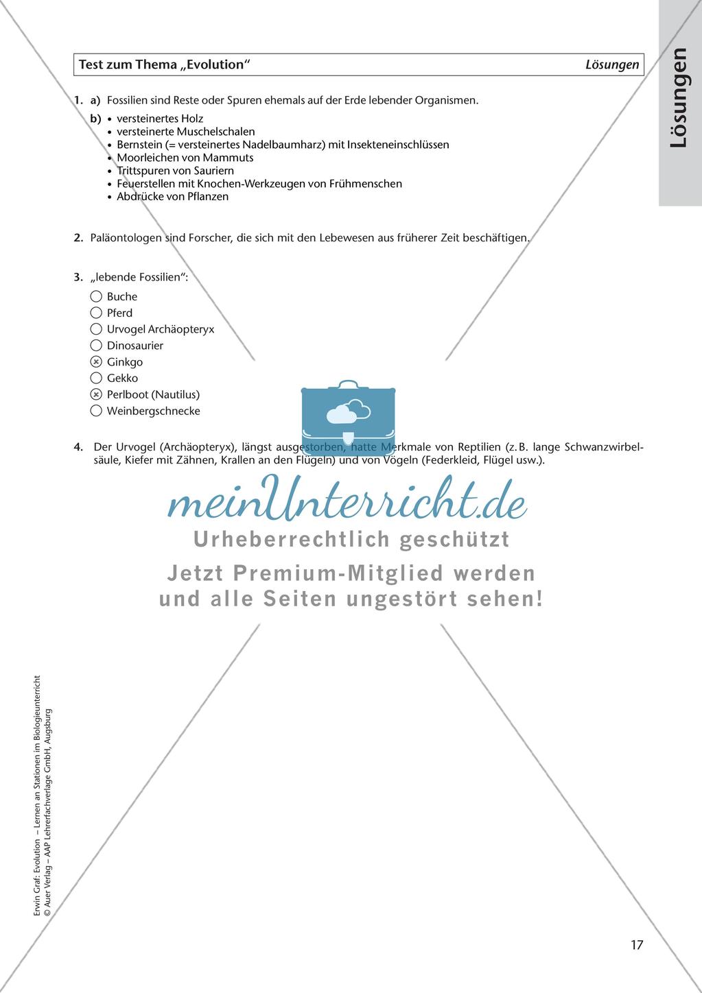 Evolution an Stationen - Ähnlichkeiten und Verwandtschaften Preview 19