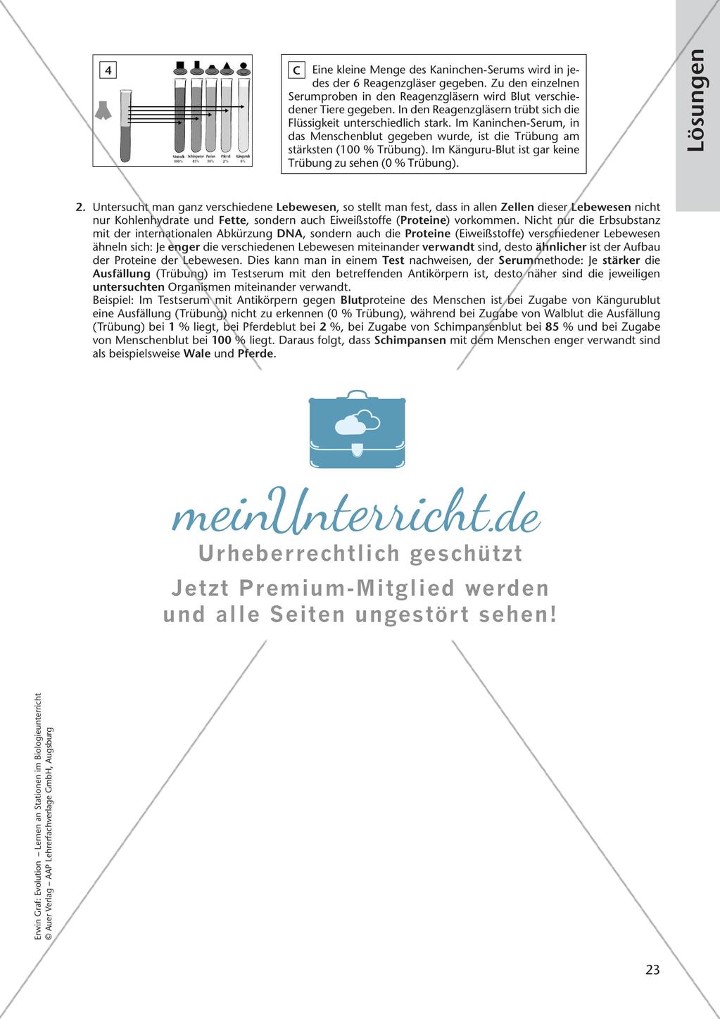 Evolution an Stationen - Ähnlichkeiten und Verwandtschaften Preview 25