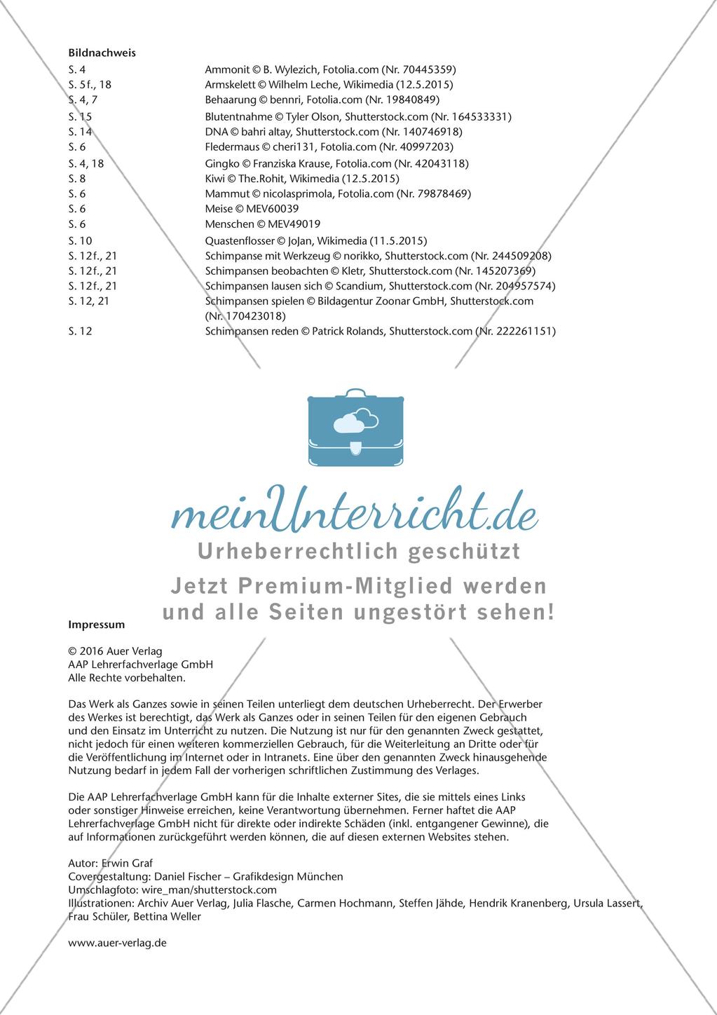 Evolution an Stationen - Ähnlichkeiten und Verwandtschaften Preview 26