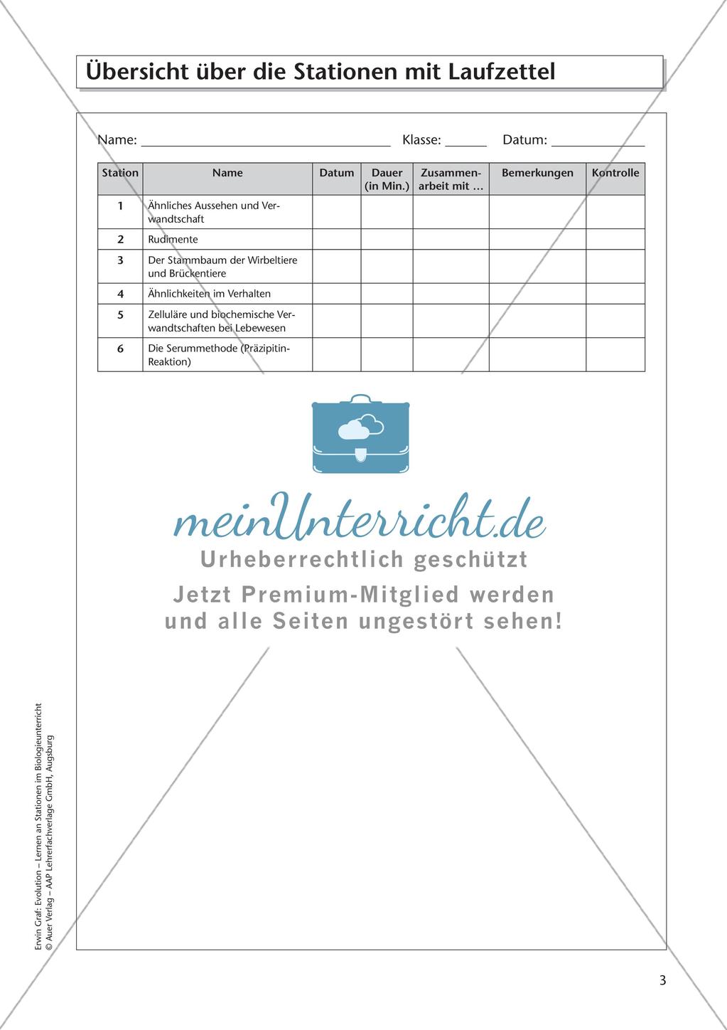 Evolution an Stationen - Ähnlichkeiten und Verwandtschaften Preview 5