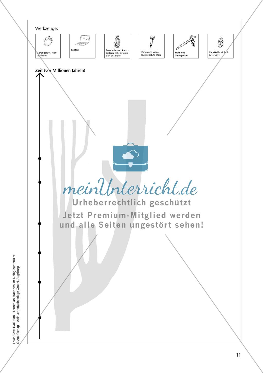 Evolution an Stationen - Die Geschichte des Menschen Preview 13