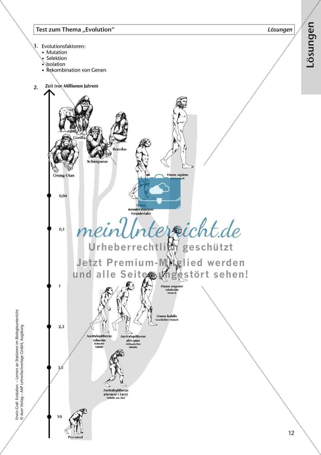 Evolution an Stationen - Die Geschichte des Menschen Preview 14