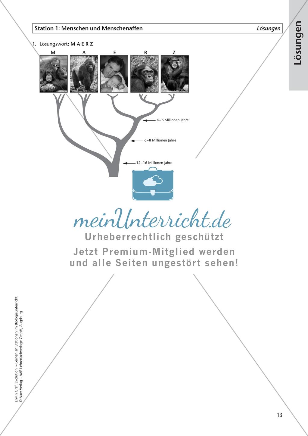 Evolution an Stationen - Die Geschichte des Menschen Preview 15