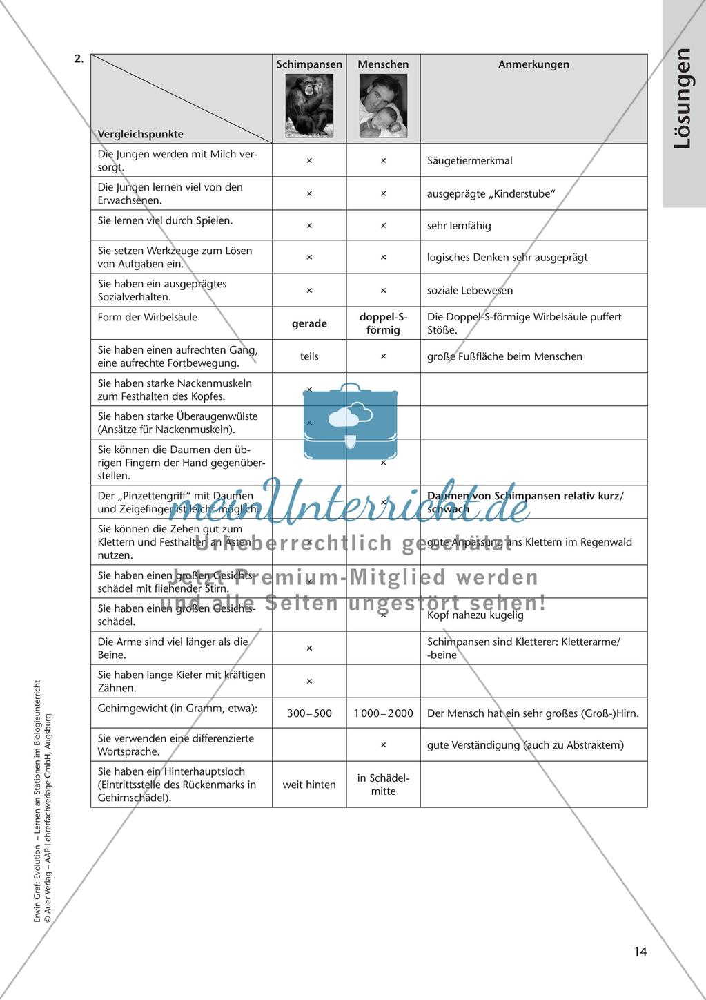 Evolution an Stationen - Die Geschichte des Menschen Preview 16