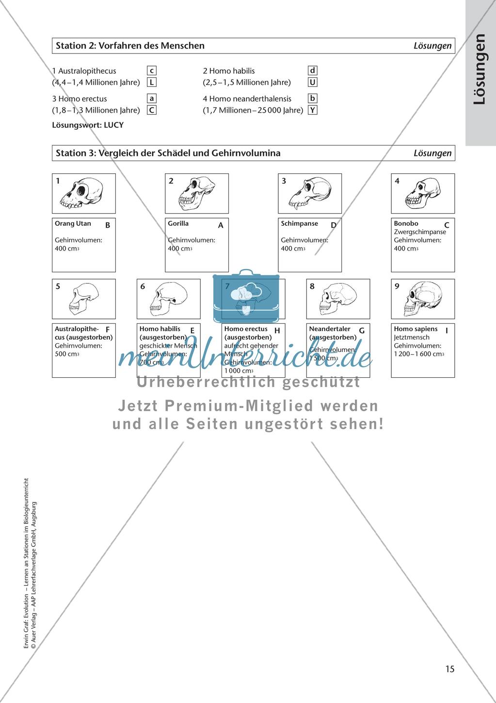 Evolution an Stationen - Die Geschichte des Menschen Preview 17
