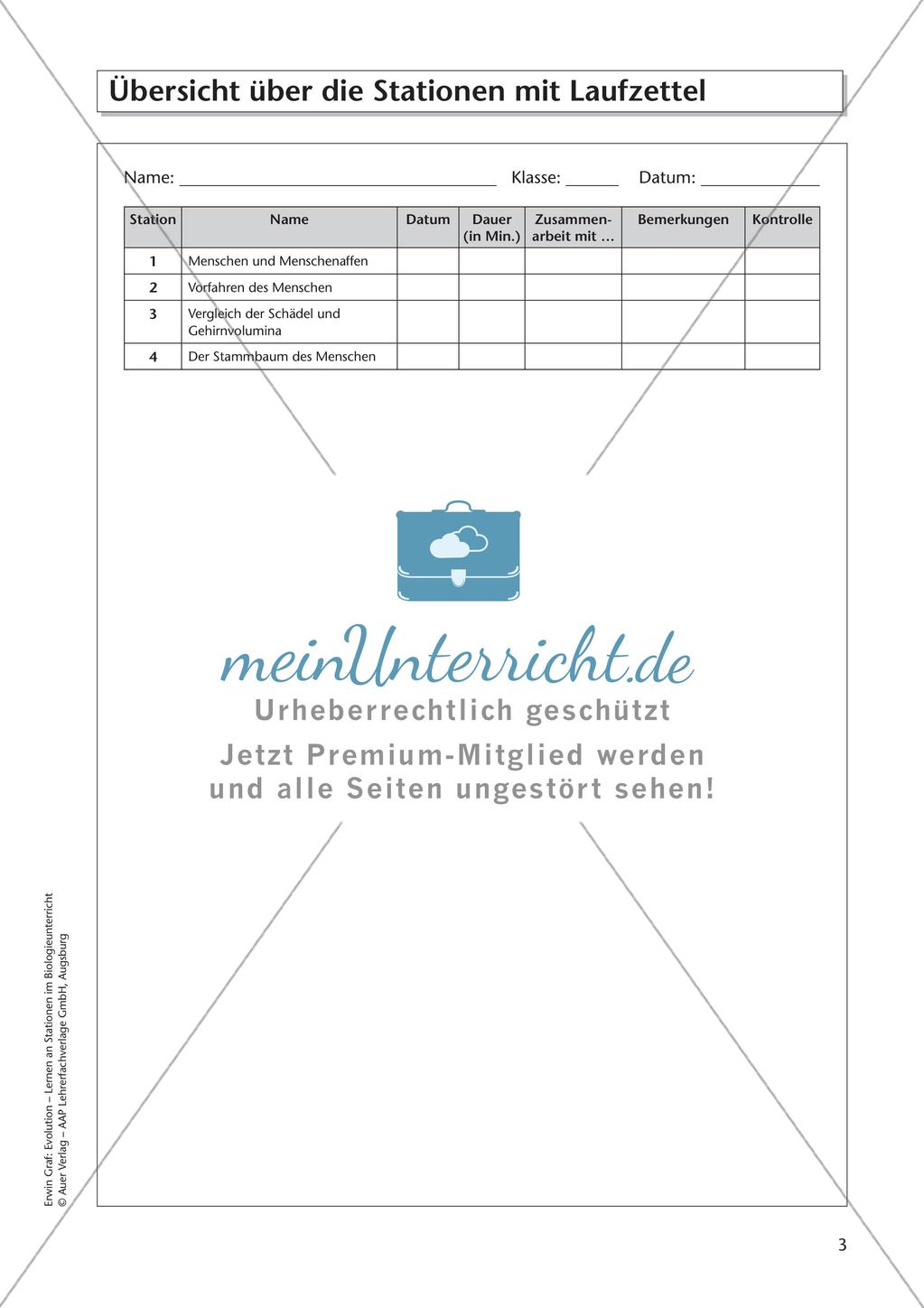 Evolution an Stationen - Die Geschichte des Menschen Preview 5