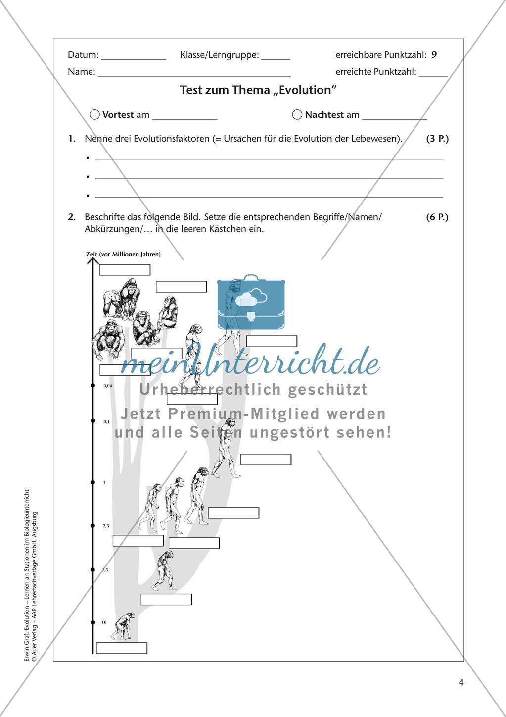 Evolution an Stationen - Die Geschichte des Menschen Preview 6
